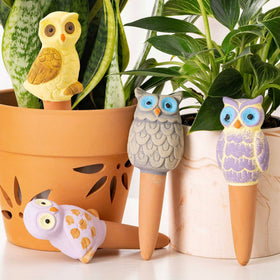 SURE YUESI gift-ready owl watering set for garden lovers and plant enthusiasts