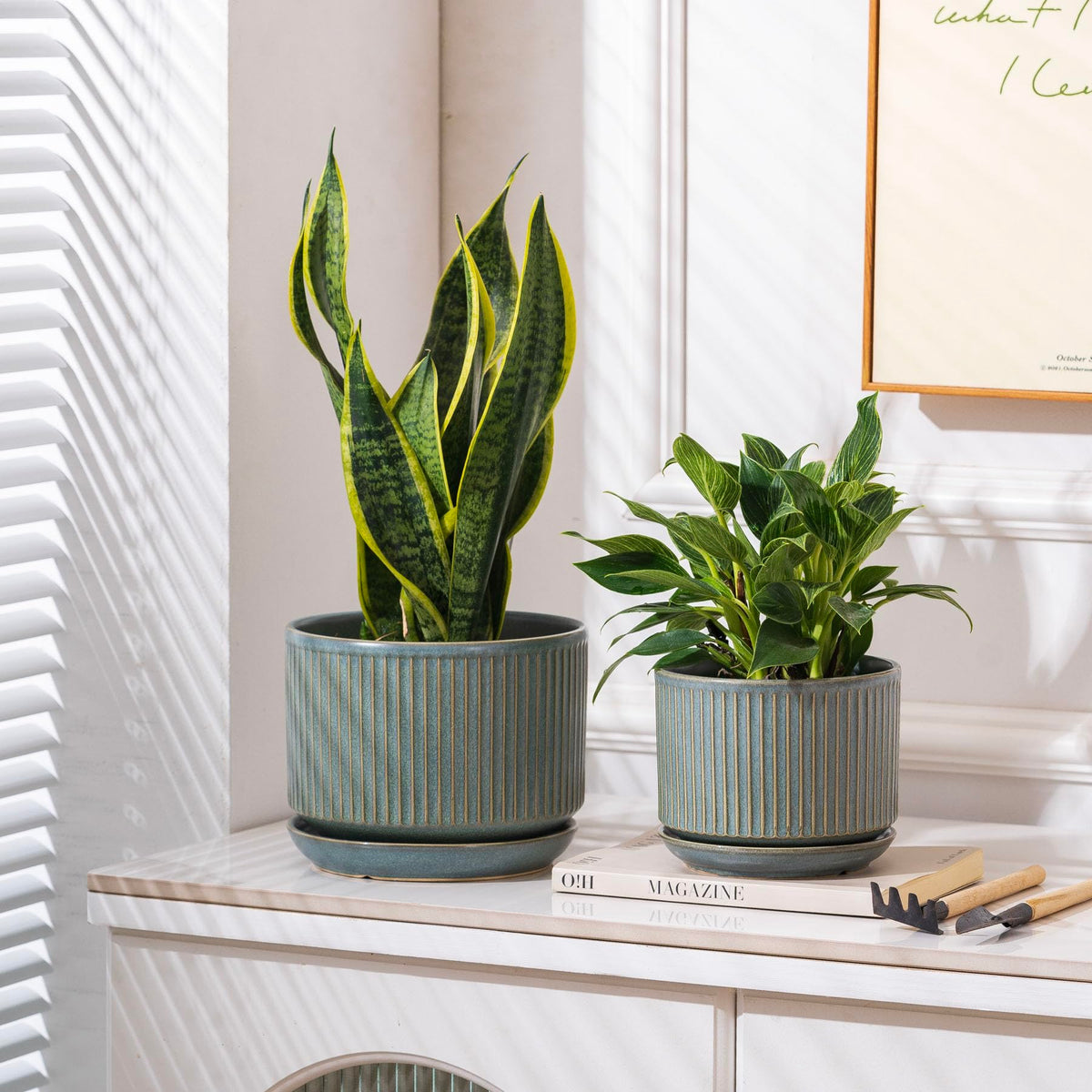 Gift-ready SURE YUESI planter set ideal for housewarmings and holidays