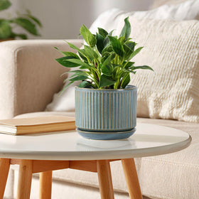 Three-piece SURE YUESI set doubles as decorative vases for flowers