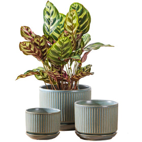 SURE YUESI green ceramic planter with vertical striped texture for stylish indoor decor