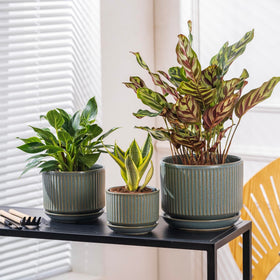 Pots placed on a window sill highlight natural light and vibrant glaze