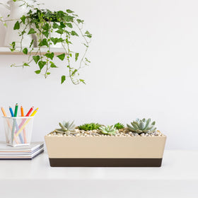 Suream planters suitable for indoor and sheltered outdoor use