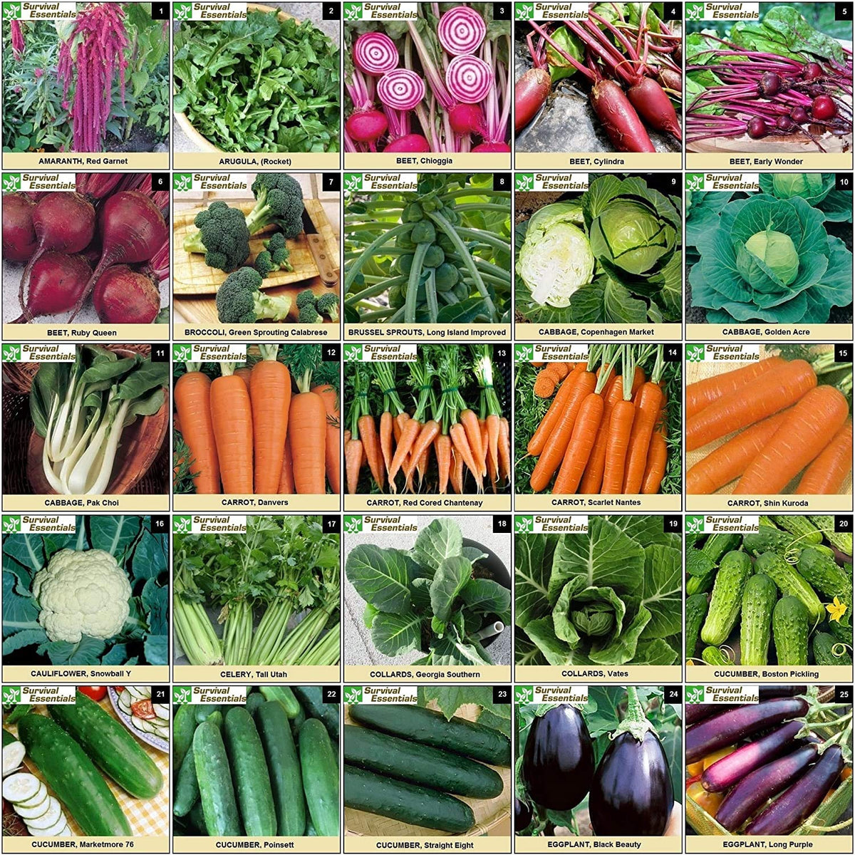 Survival Essentials garden setup guide helps beginners start an heirloom garden confidently.