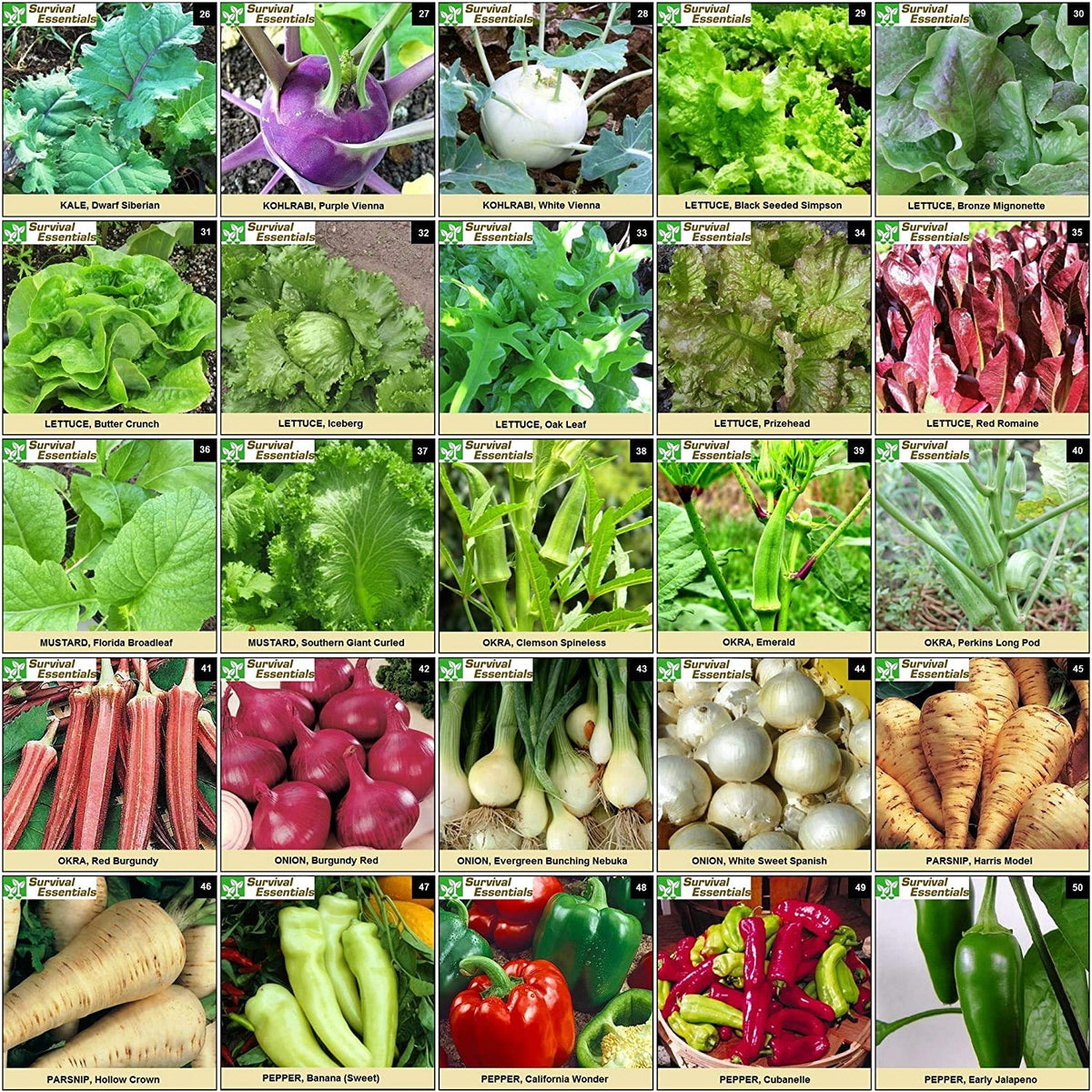 Survival Essentials heirloom seeds packaging shows care from a family-owned Oklahoma business.