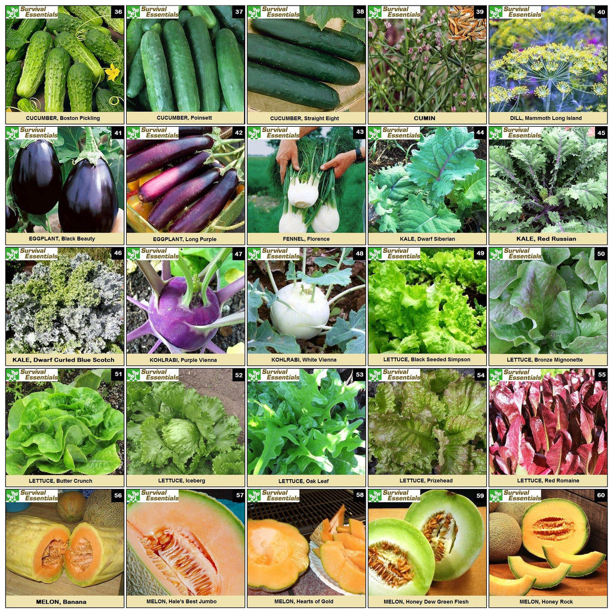 Survival Essentials medicinal and culinary herb seeds for diverse herb gardens