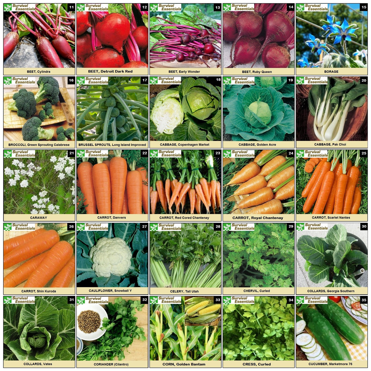 Survival Essentials non-GMO seed collection for trusted garden crops