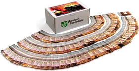 Survival Essentials 100-variety non-GMO seed selection for edible fruits and vegetables.