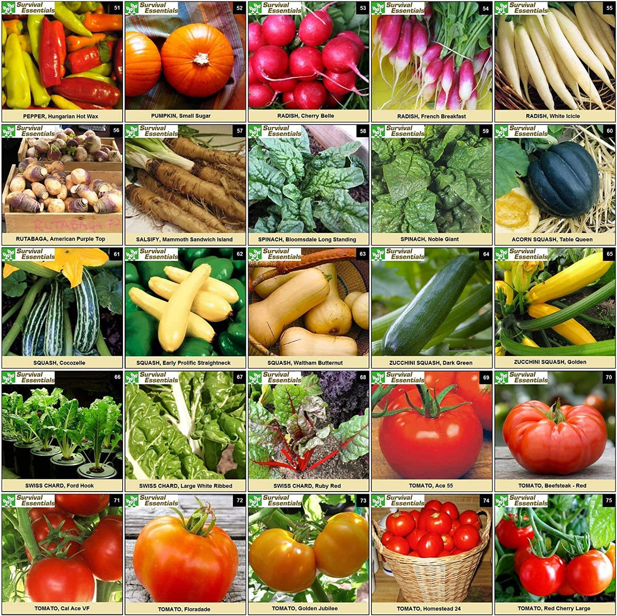 Survival Essentials seed collection designed for zone-wide gardening across USDA regions.