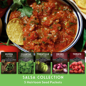SURVIVAL GARDEN SEEDS red onion seeds for crisp salsa aromatics at home