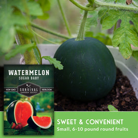 Label highlights 75 to 80 day ripening for faster harvest.