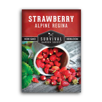 SURVIVAL GARDEN SEEDS Alpine Regina seed packet for easy home planting.