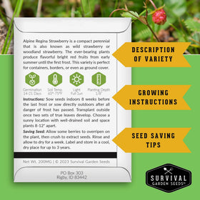 SURVIVAL GARDEN SEEDS Alpine Regina woodland strawberry seedling ready for space-saving container gardens.