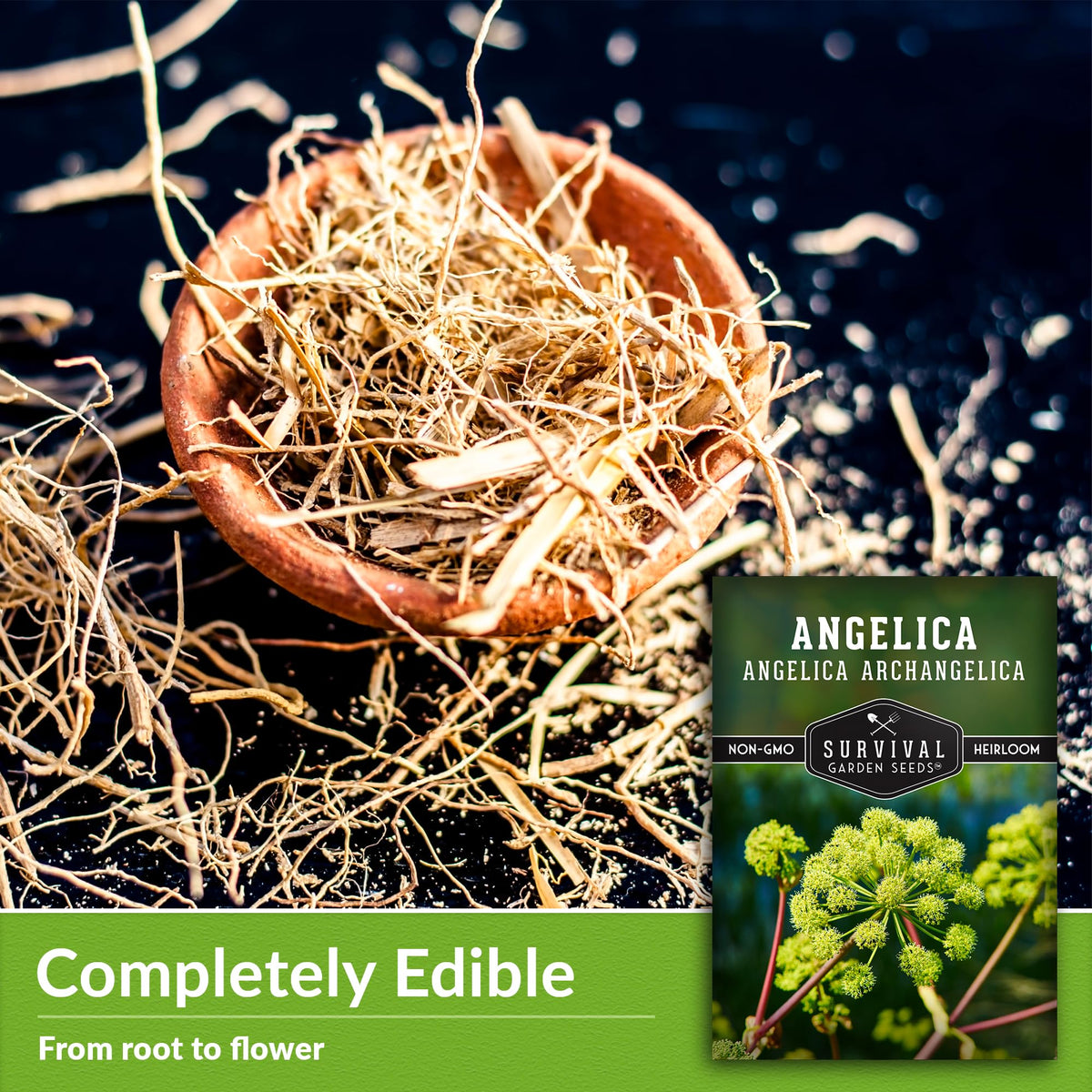 Survival Garden Seeds angelica aromatic leaves ready for culinary use