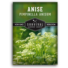 Survival Garden Seeds Anise foliage in sunlight highlighting fresh flavor notes.