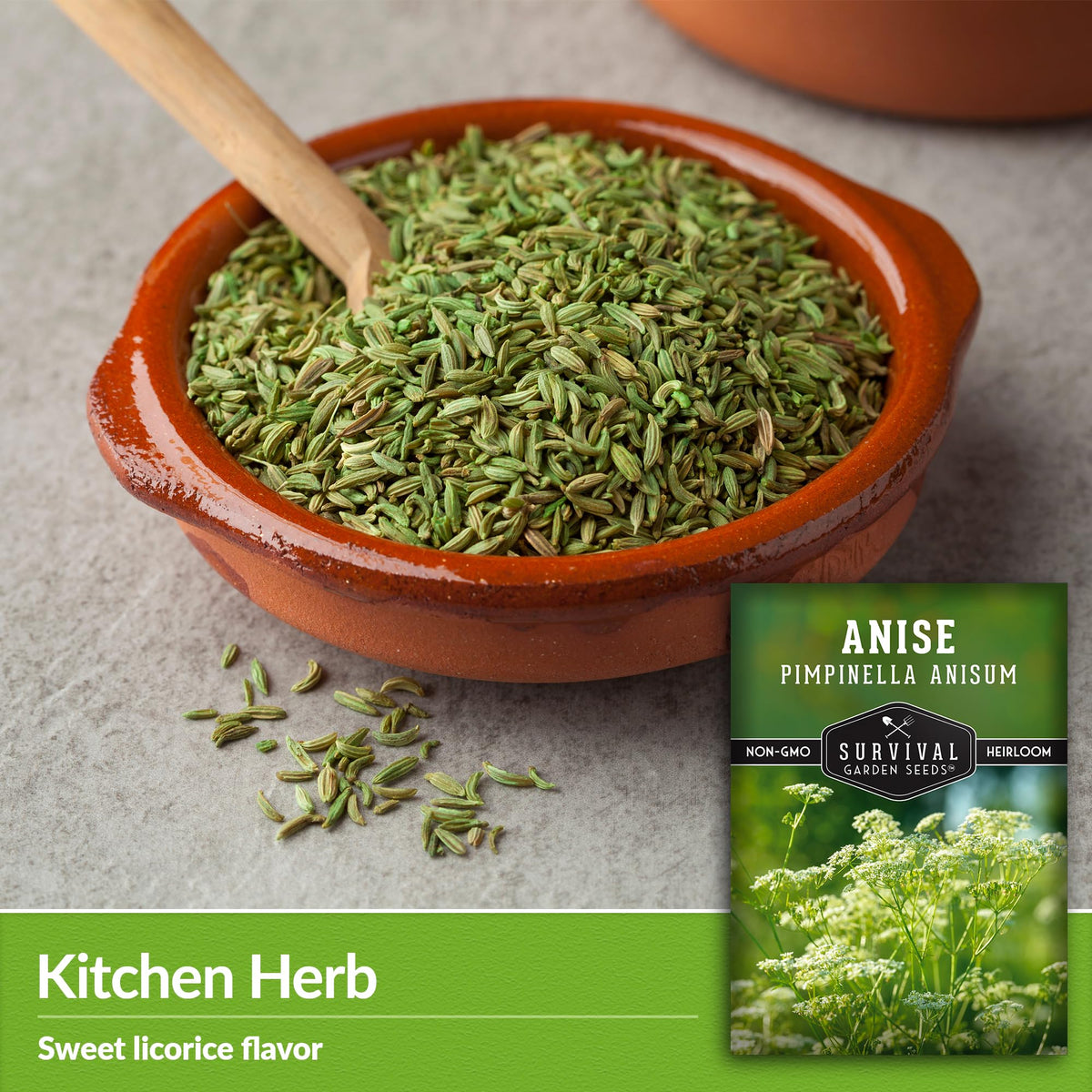 Survival Garden Seeds Anise plant in sun demonstrates easy garden growth.