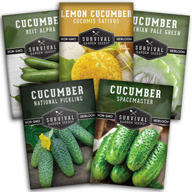 SURVIVAL GARDEN SEEDS Armenian pale green cucumber packet for a fresh summer harvest