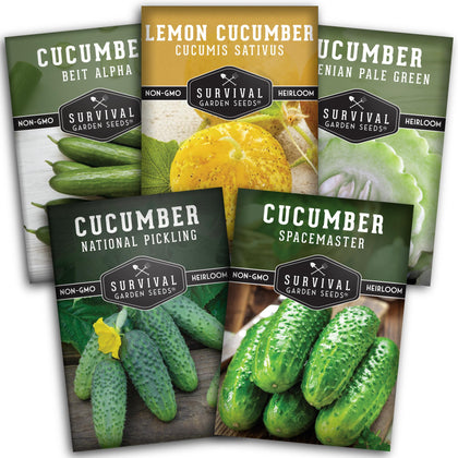 SURVIVAL GARDEN SEEDS Armenian pale green cucumber packet for a fresh summer harvest