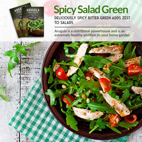 Survival Garden Seeds arugula cool-weather growth supports year-round fresh greens.