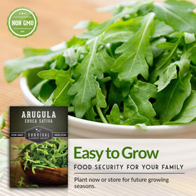 Survival Garden Seeds arugula paper packet with growing guide for beginners.