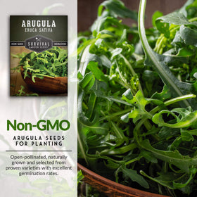 Survival Garden Seeds arugula sprouting microgreens shows quick, tasty early harvest possibilities.
