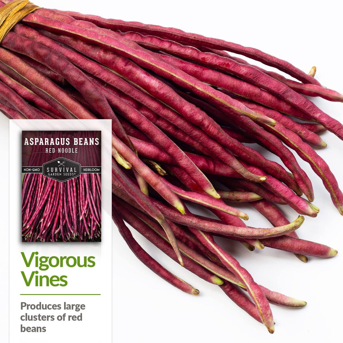 SURVIVAL GARDEN SEEDS red-yardlong-bean close-up highlighting slender tender pods for picking early.