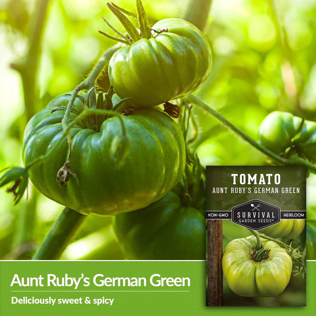 Survival Garden Seeds Aunt Ruby's German Green tomato for fried green tomato dishes with crisp texture.