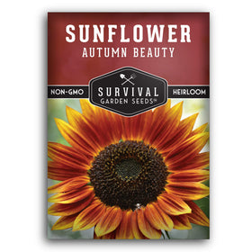 Survival Garden Seeds Autumn Beauty sunflower gold bloom for vibrant garden displays and bouquets