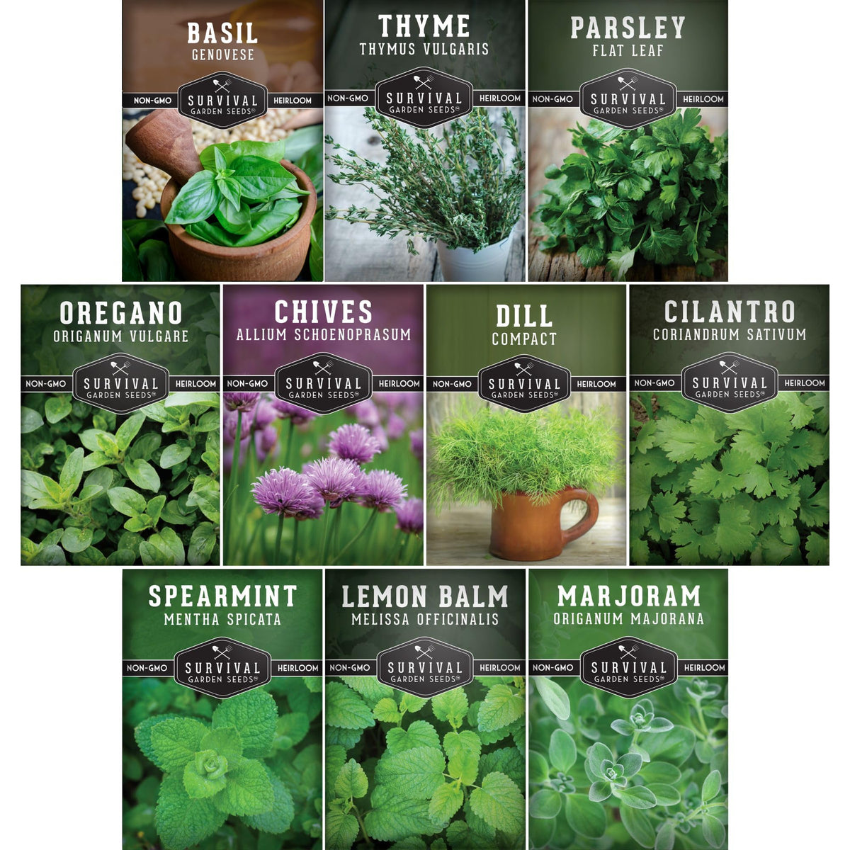 SURVIVAL GARDEN SEEDS basil leaf close-up for fresh, flavorful meals at home