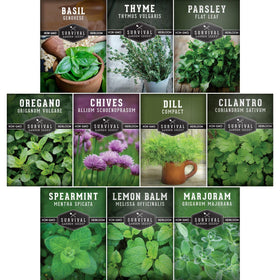 SURVIVAL GARDEN SEEDS basil leaf close-up for fresh, flavorful meals at home