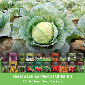 Survival Garden Seeds beginner guide packets emphasize easy steps for new gardeners