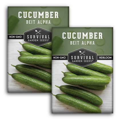 Beit Alpha cucumber on the vine by SURVIVAL GARDEN SEEDS for crisp harvest