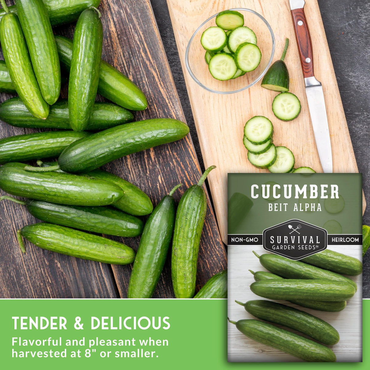 Harvest-ready Beit Alpha cucumbers six to eight inches long