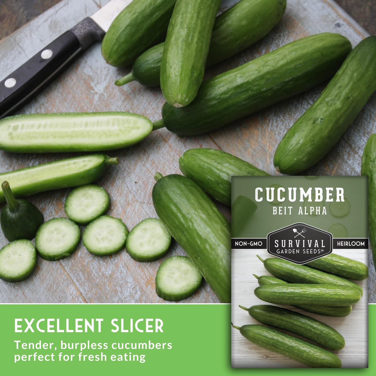 Beit Alpha cucumber thriving in raised beds