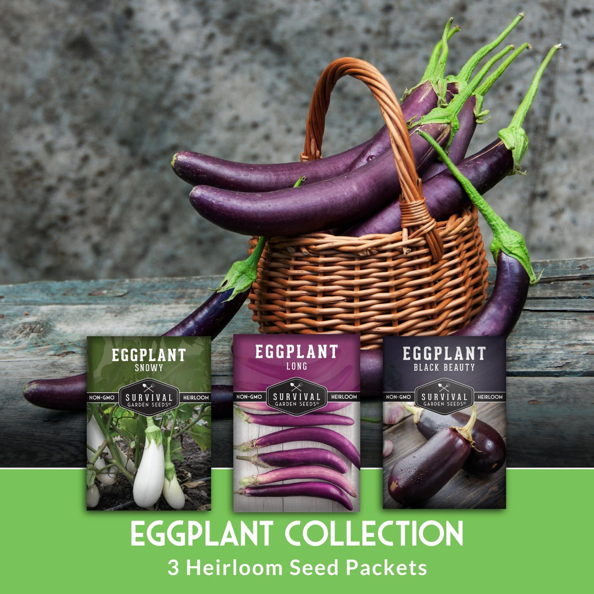Survival Garden Seeds Black Beauty Eggplant fruit with glossy purple skin