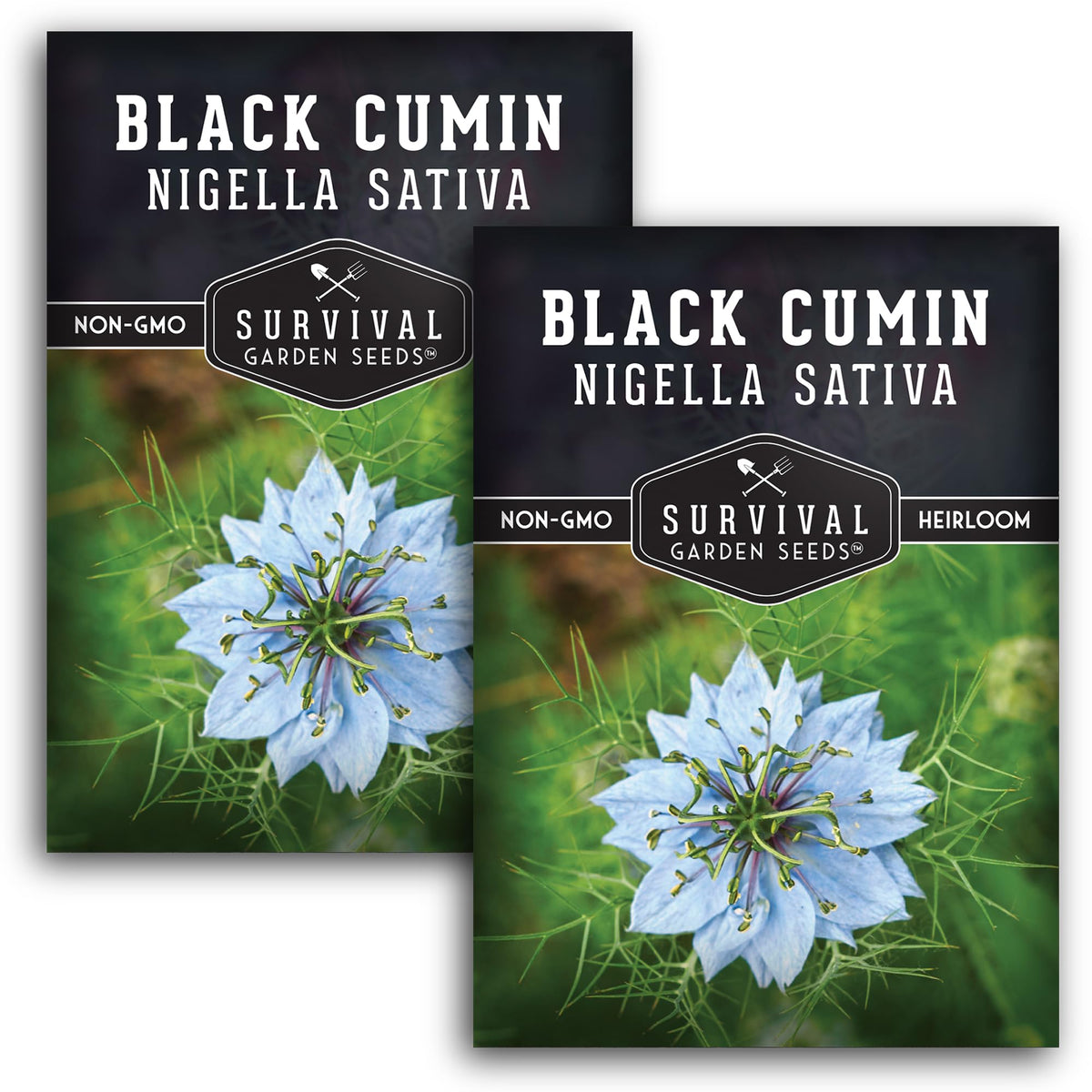 SURVIVAL GARDEN SEEDS black cumin seed packet, easy-to-grow for home gardens.