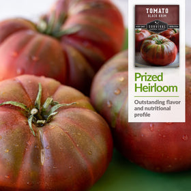 Harvest-ready Black Krim tomatoes ideal for family meals.