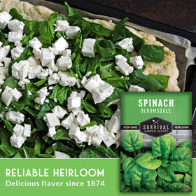 SURVIVAL GARDEN SEEDS Bloomsdale baby leaves ready for quick sauté or fresh salad.