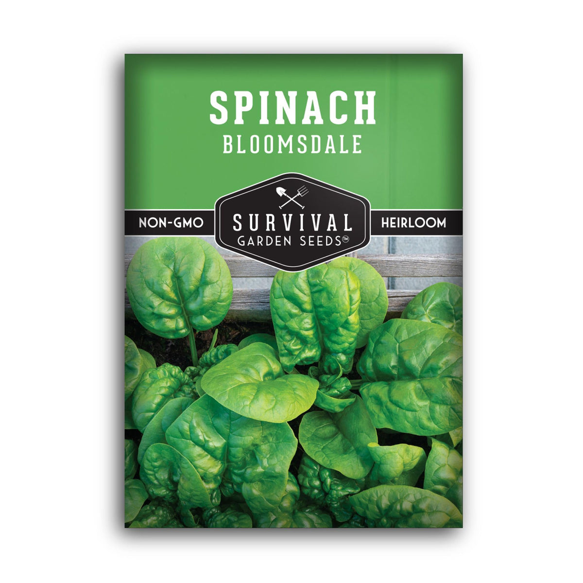 SURVIVAL GARDEN SEEDS Bloomsdale spinach leaf close-up for crisp salad greens.