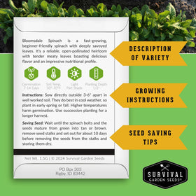 Survival Garden Seeds Bloomsdale spinach plants in raised bed show healthy growth.