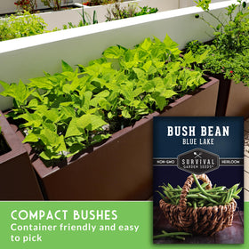Blue Lake 274 plant compact in garden bed saving space