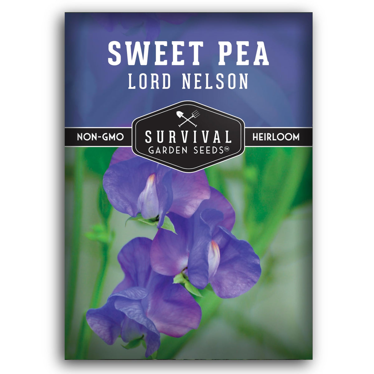 Survival Garden Seeds Lord Nelson blue sweet pea seed pack ready for spring planting