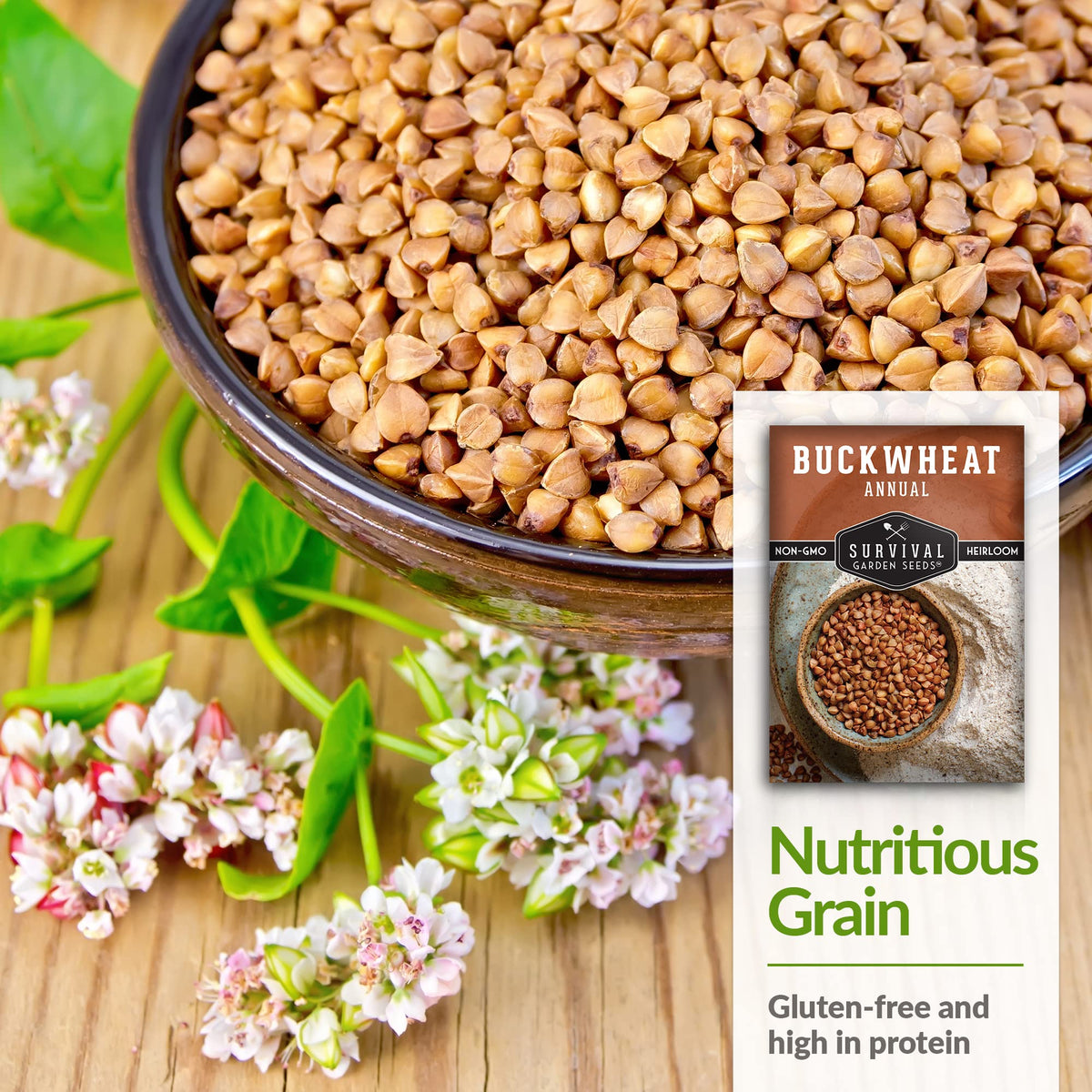 Pollinators visiting buckwheat blooms from Survival Garden Seeds in the garden