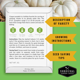 Casper pumpkins on the vine showcase smooth skin and autumn charm.