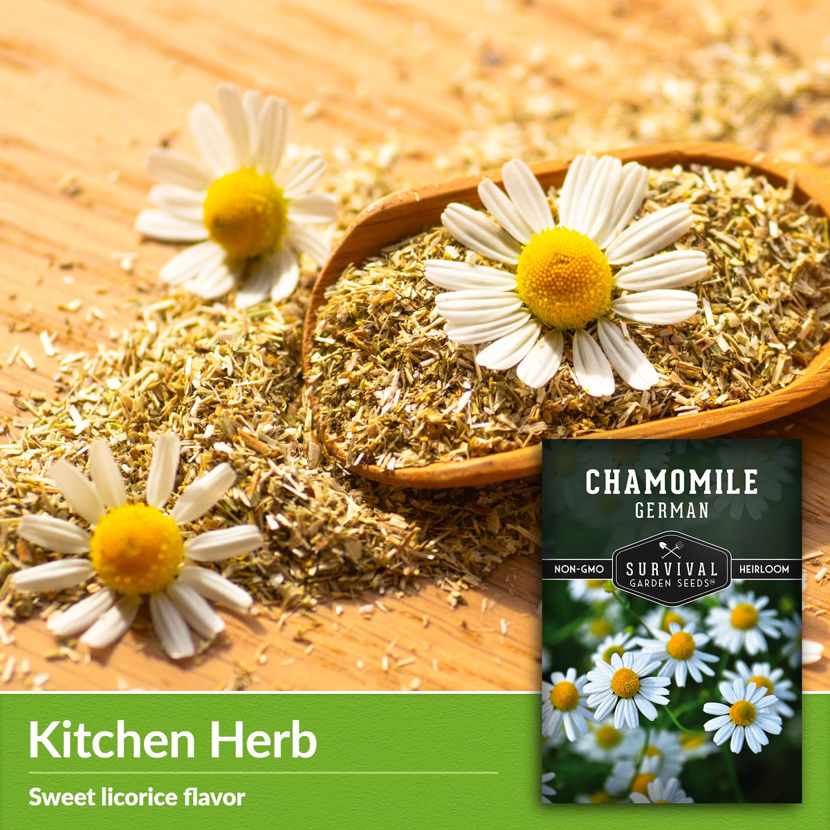 Survival Garden Seeds chamomile seedlings direct-sow demonstration for beginners.