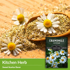Survival Garden Seeds chamomile seedlings direct-sow demonstration for beginners.