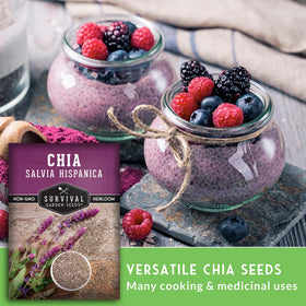 Survival Garden Seeds chia harvest ready for pantry and storage