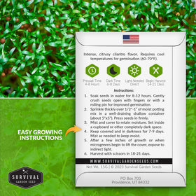 Survival Garden Seeds cilantro microgreens close-up showing vibrant green color and citrus aroma.