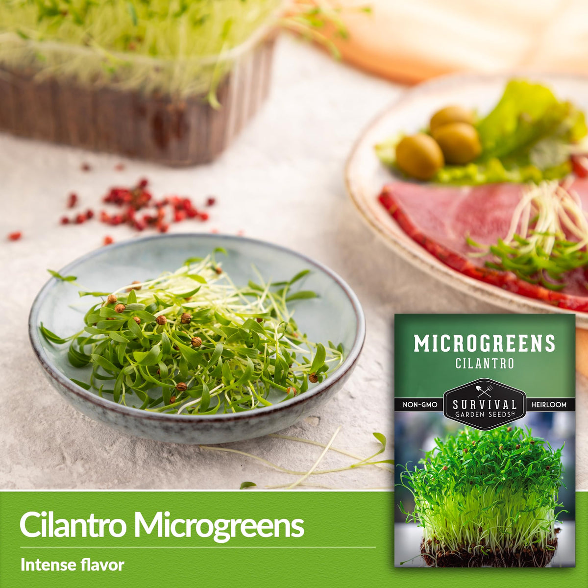 Survival Garden Seeds cilantro microgreen seeds on a kitchen tray for home gardening.