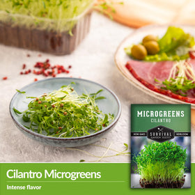 Survival Garden Seeds cilantro microgreen seeds on a kitchen tray for home gardening.