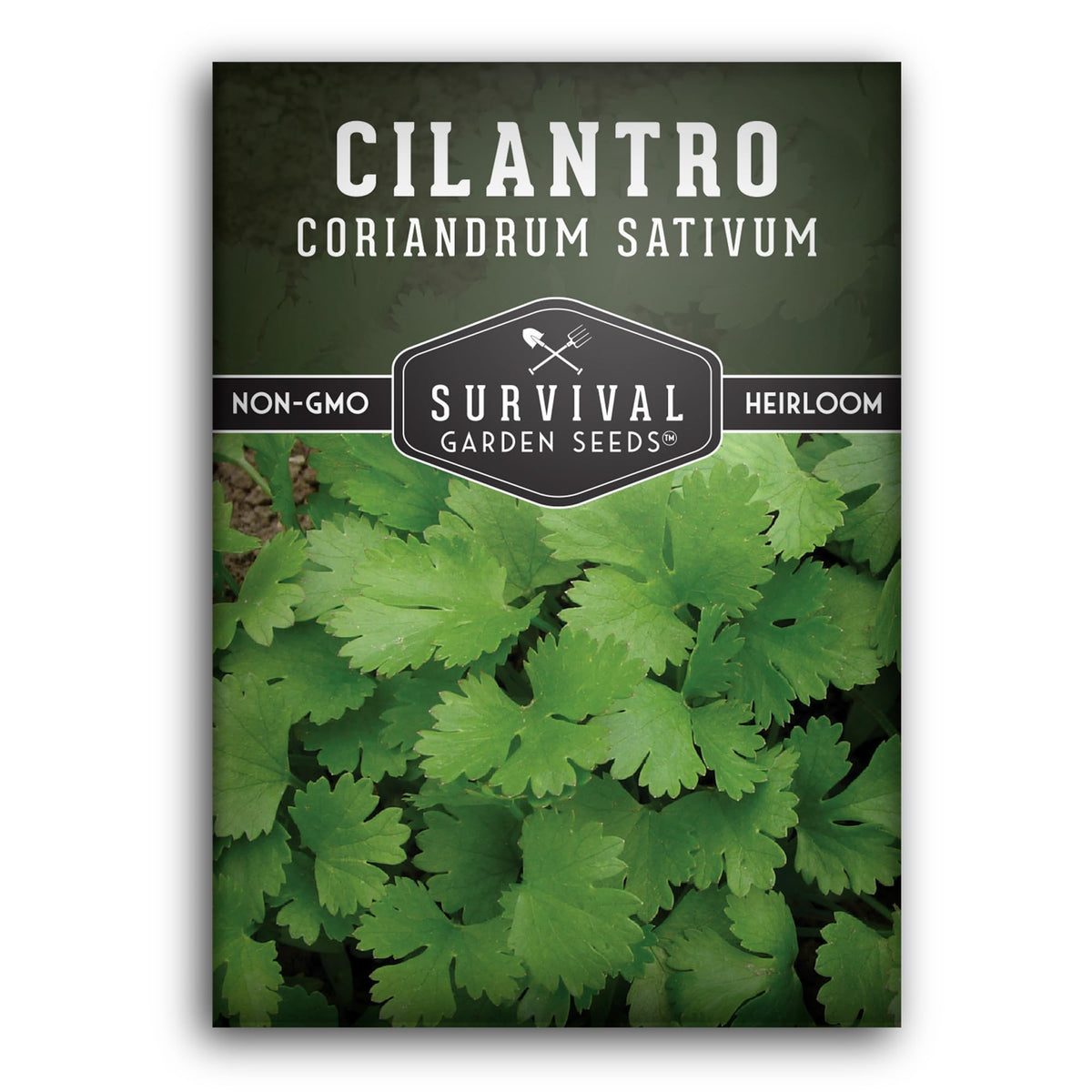 SURVIVAL GARDEN SEEDS cilantro seeds pack for reliable harvest.